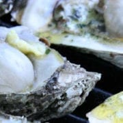Grilled Oysters with Roasted Garlic