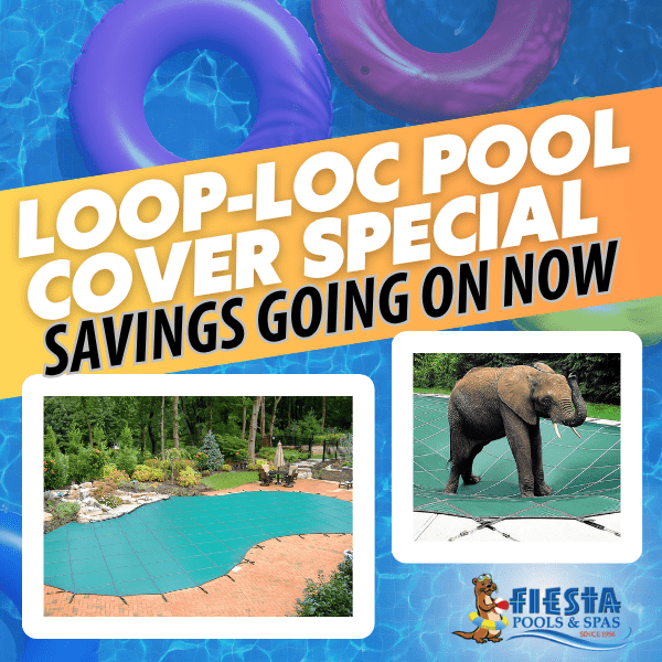 Fiesta Loop Loc (600 x 600 px) Fiesta Loop Loc